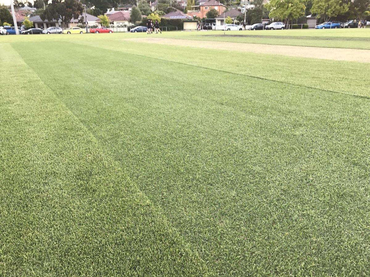 AdvancedSeed's tweet image. It’s great to be supplying a number of @VTCA_Official grounds with our top quality ryegrass options this year. Here’s a great photo of our SR4660st at Strathmore Cricket Club. For a great deal contact Tim on 0488013060 or tim@adseed.com.au