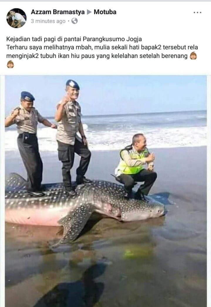 Bu Susi Pudjiastuti, tolong sampaikan ke Pak Kapolri agar para Anggota Polisi yg berfoto berdiri diatas badan Hiu Paus ini tidaklah etis. Walaupun Hiu Paus itu telah mati, ini contoh yg sangat tidak baik dan sangat memalukan dari aparat apalagi dg seragam yg lengkap