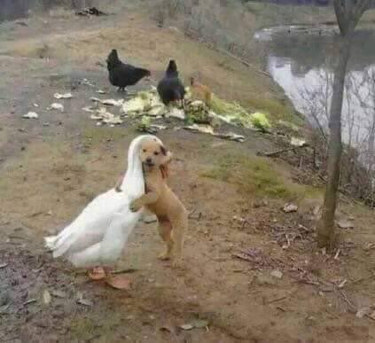 sadgirlkms's tweet photo. forbidden love https://t.co/psD4GngmCB