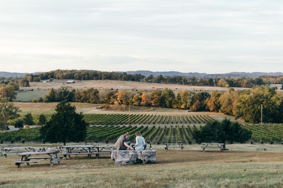 visitfranklin's tweet photo. 12 things about #FranklinTN that will surprise you --> https://t.co/Br0N2v47pq via @MatadorNetwork #Travel ✈️ https://t.co/WVa4OuxoQd