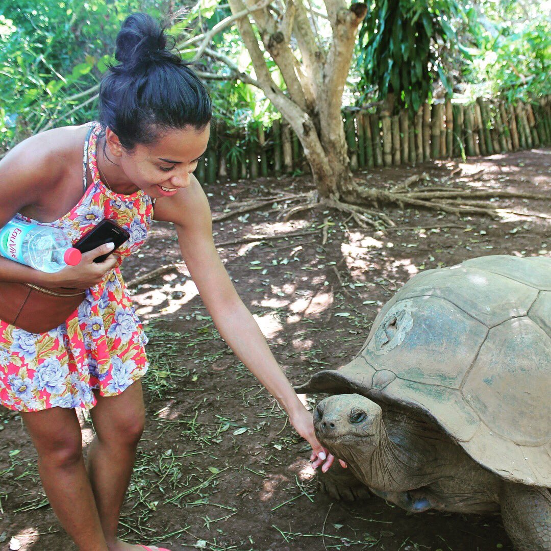 NBSunshineTours's tweet photo. Lemuria Land in Hell-Ville, Nosy Be, is home to a range of cheeky lemurs, slow and sleepy reptiles and wise old turtles and tortoises. #hellville #nosybe #madagascar #lemur #tortoise #travel #explore #lemurialand #nature #visit https://t.co/l1dG9H4RrD