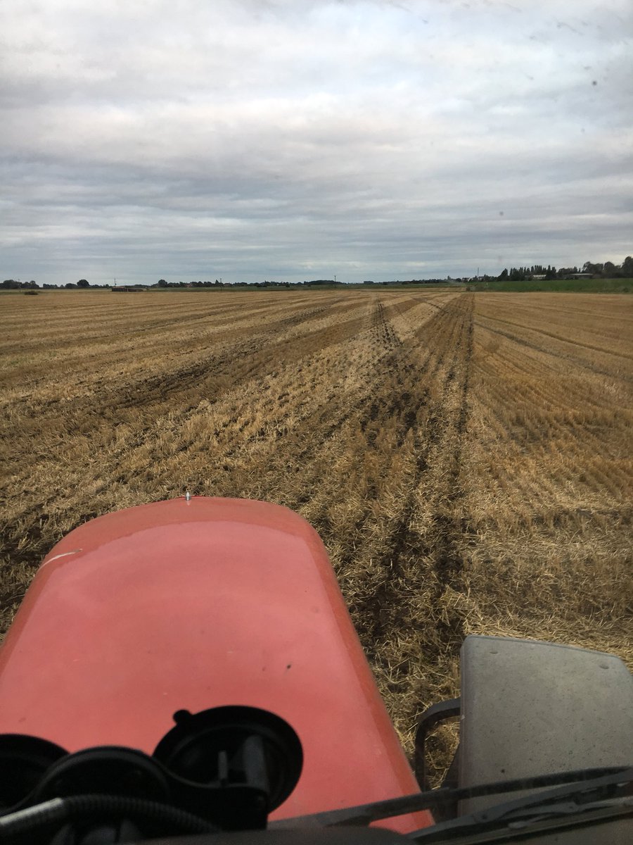 TimBoor_Arable's tweet photo. Last field of OSR going in nicely behind the #tillso sabre tine legs https://t.co/Pi8zsCx6NA