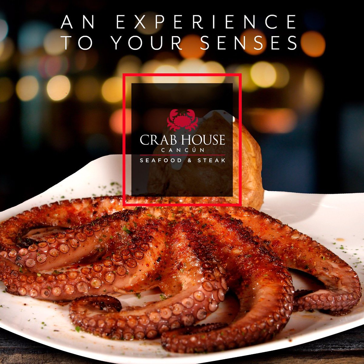 CrabHouseMX's tweet photo. Come to Crab House and enjoy a delicious octopus, it is ideal if you want to stay healthy.
Accompanied by a beautiful view and a excellent environment.
Come to the best place in Cancun. 
Book now.
#Crab #CrabHouse #cancun #seafood #food #sea #kidsclub #enjoy #mexico #moments https://t.co/59sX9LXkmU