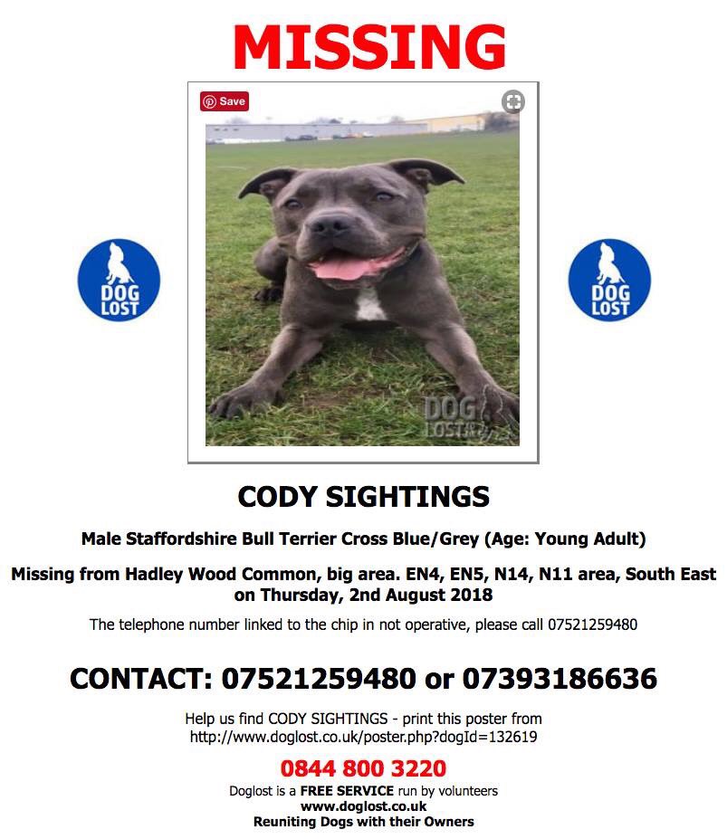 dotslondon's tweet photo. CODY went missing 3rd August &amp; is desperately missed by his owner!Cody was not only an adored pet/family member but also a support/therapy dog to James.Plse can we help spread the word to find him by changing your avatar pic for even 24hours to the one below to spread the word https://t.co/T8dQEzsSbf