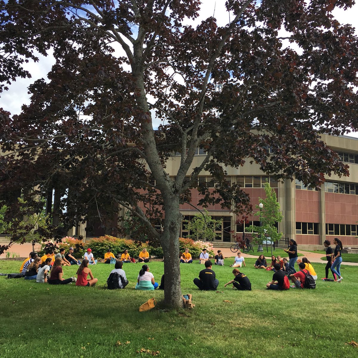MountAllison's tweet photo. A beautiful day to meet new friends at #International #MtAOrientation! #LetsGetItStartedMTA https://t.co/D50mgoiuyy