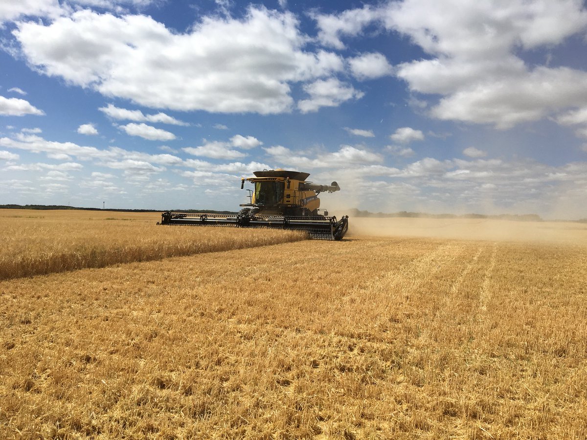 hey everyone! just fired up our twitter handle to get in on the ever popular #agriculture world. we are located at virden manitoba and hosted by <a href="/mattykozak/">matt kozak</a>. hope that isn’t a bad thing... please give us a follow! thanks!
