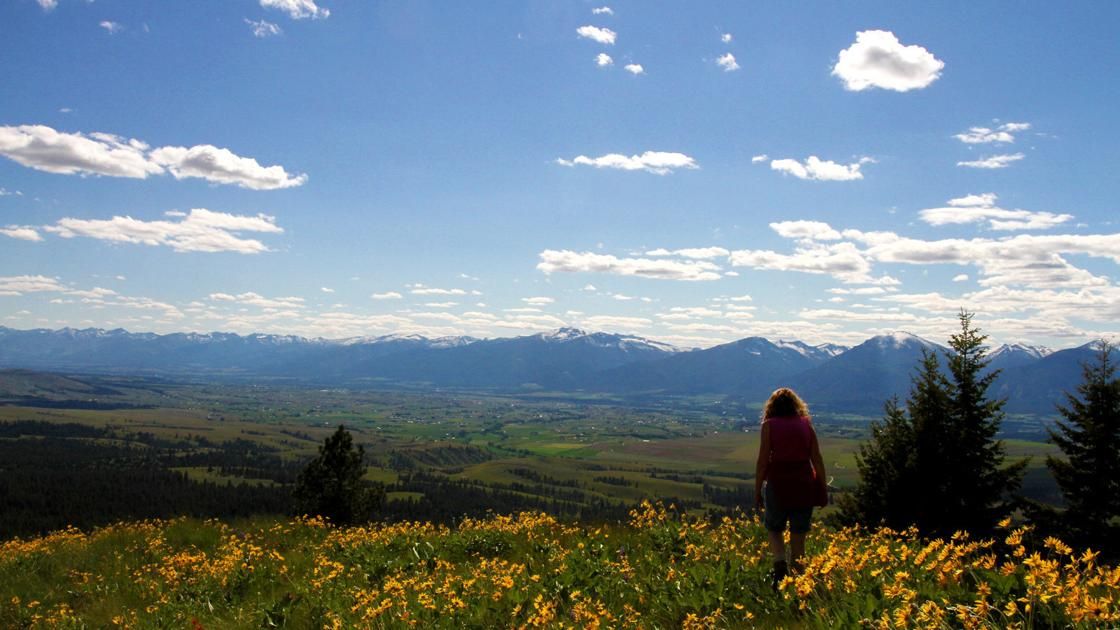 INNO Car Racks tweet media