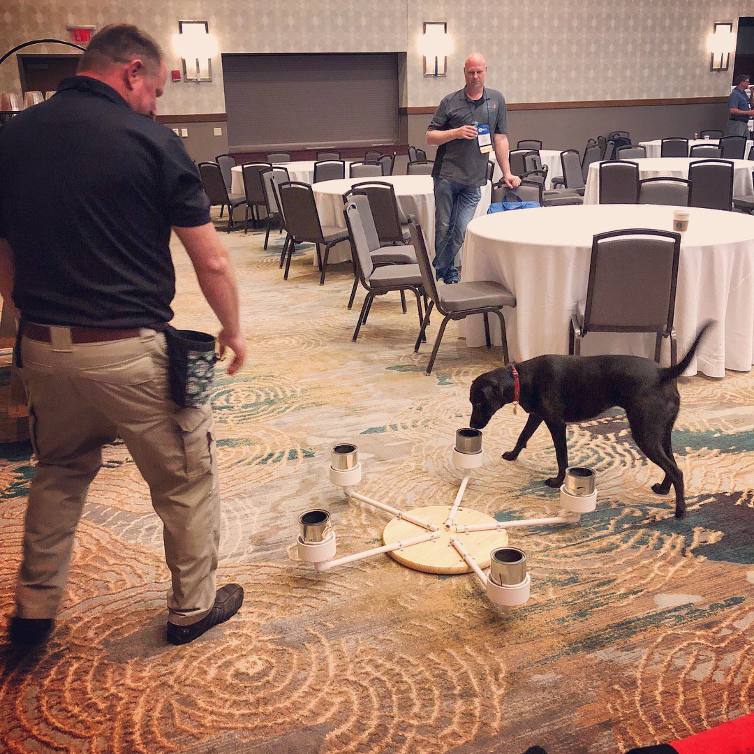 Chapmanscfire's tweet image. #FireK9Cinder searching for the HOT can &amp;amp; she finds it! At the 2018 @IAAIhq International Training Conference &amp;amp; Expo. K9 Cinder showing off! 😃👏 This contraption is made to spin! In case you thought it was too easy 😉 #SCFireConsulting #AccelerantDetectionK9