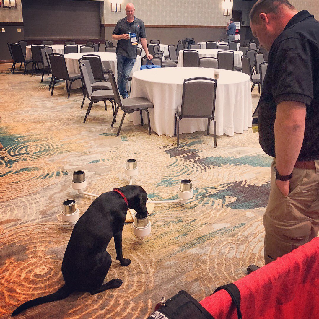 Chapmanscfire's tweet image. #FireK9Cinder searching for the HOT can &amp;amp; she finds it! At the 2018 @IAAIhq International Training Conference &amp;amp; Expo. K9 Cinder showing off! 😃👏 This contraption is made to spin! In case you thought it was too easy 😉 #SCFireConsulting #AccelerantDetectionK9