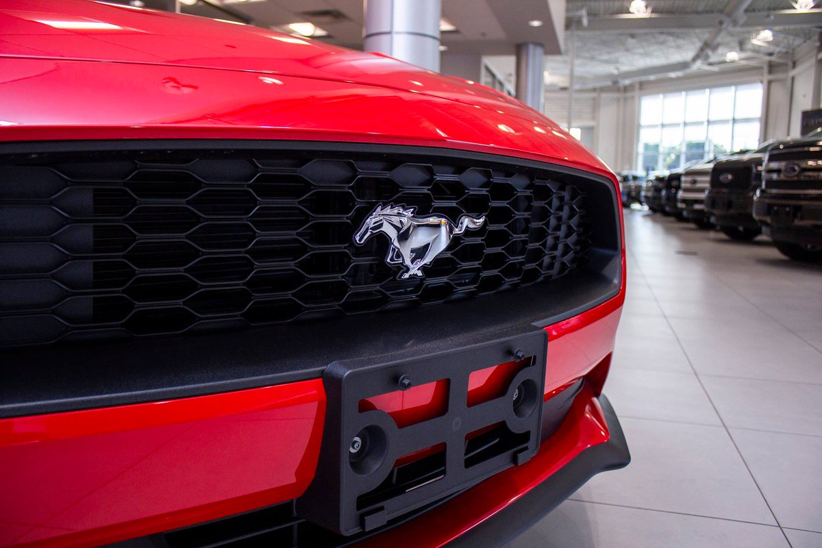 Happy #MustangMonday, #MustangAddicts! Come celebrate with us at Yonge Steeles Ford Lincoln. #Mustang #MondayMotivation