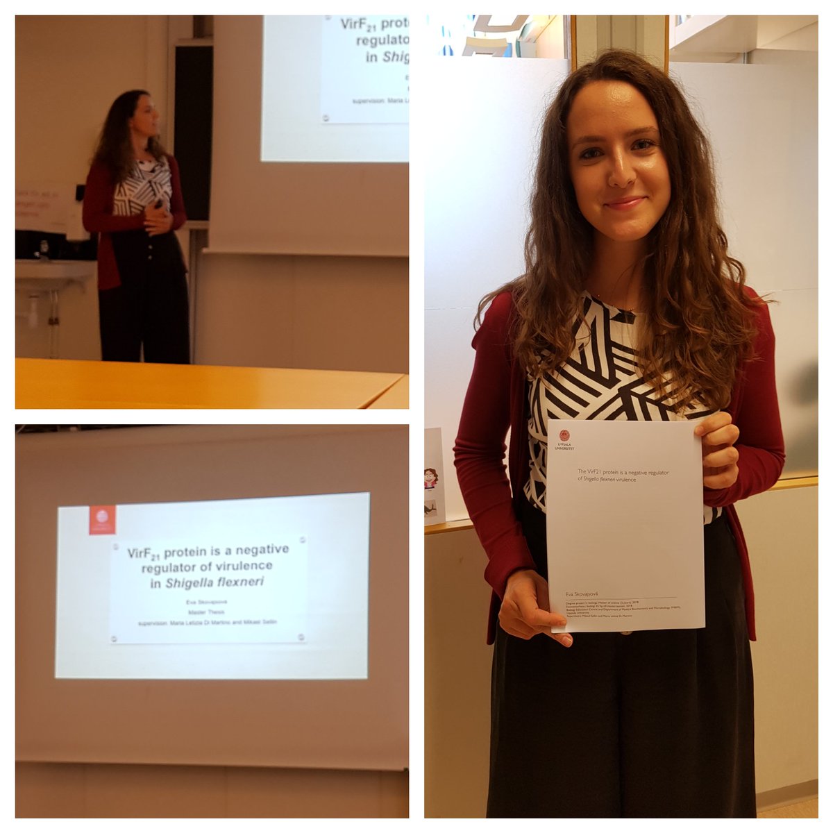 SellinLab's tweet photo. Eva Skovajsova @ESkovajsova defending her MSc thesis with flying colors today. Well done! We are thrilled that Eva will continue working with us to uncover the regulatory mechanisms behind #Shigella #virulence. https://t.co/KypJ9Wjoz1