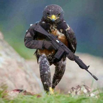 wayne_m159's tweet photo. @austinhuche @unclekach @DrOlufunmilayo First, we have to publicly execute the Judas in our mist to send a strong message to potential traitors in the future, it's an unpardonable crime! #BrosFirst 😤😤😤😤 https://t.co/MMvDL8FCFw