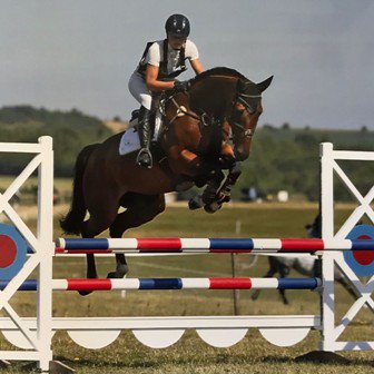 CHeventing's tweet photo. 2 up and coming 7 and 8 yo event horses available for lease with us. Ownership excitement without the purchase costs. Lease shares from Β£100 per month. https://t.co/gOjLOpR2gp #HorseHour #eventingfun https://t.co/9BD8CtlXO3