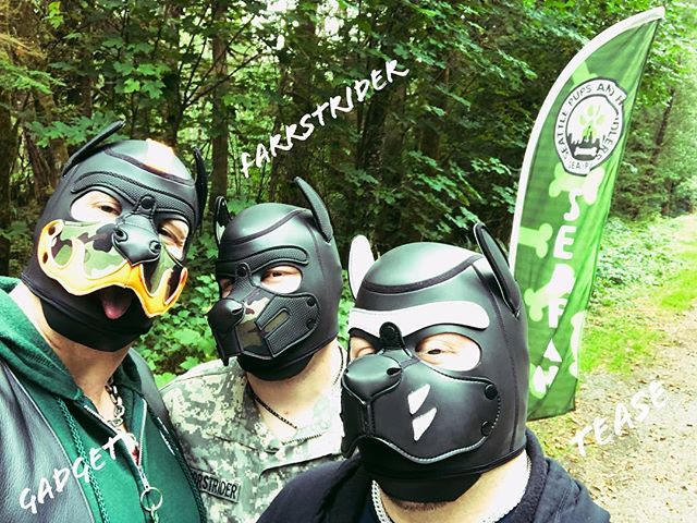 PupGadget's tweet photo. Back after a Wagtastic Weekend with Tease, my Pupper Farrstrider and everyone else at Camp K9! #me #humanpuppy #humanpup #pupplay #puppyplay #pupgadget #alphagadget #alphapup #alphapupgadget #mrsleather #pupfarrstrider #farrstrider #puptease #trianglere⦠https://t.co/yPjMyA3suz https://t.co/TurSAC9zA1