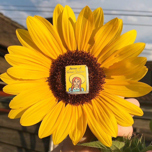 idealbookshelf's tweet photo. 🌻Anne of Green Gables Pin🌻 .
#anneofgreengables #pin #pins #bookpin #yellowpin #sunflower #book #booksandflowers #bookacessories #idealbookshelf #pincollection https://t.co/QN4QLQtIVV