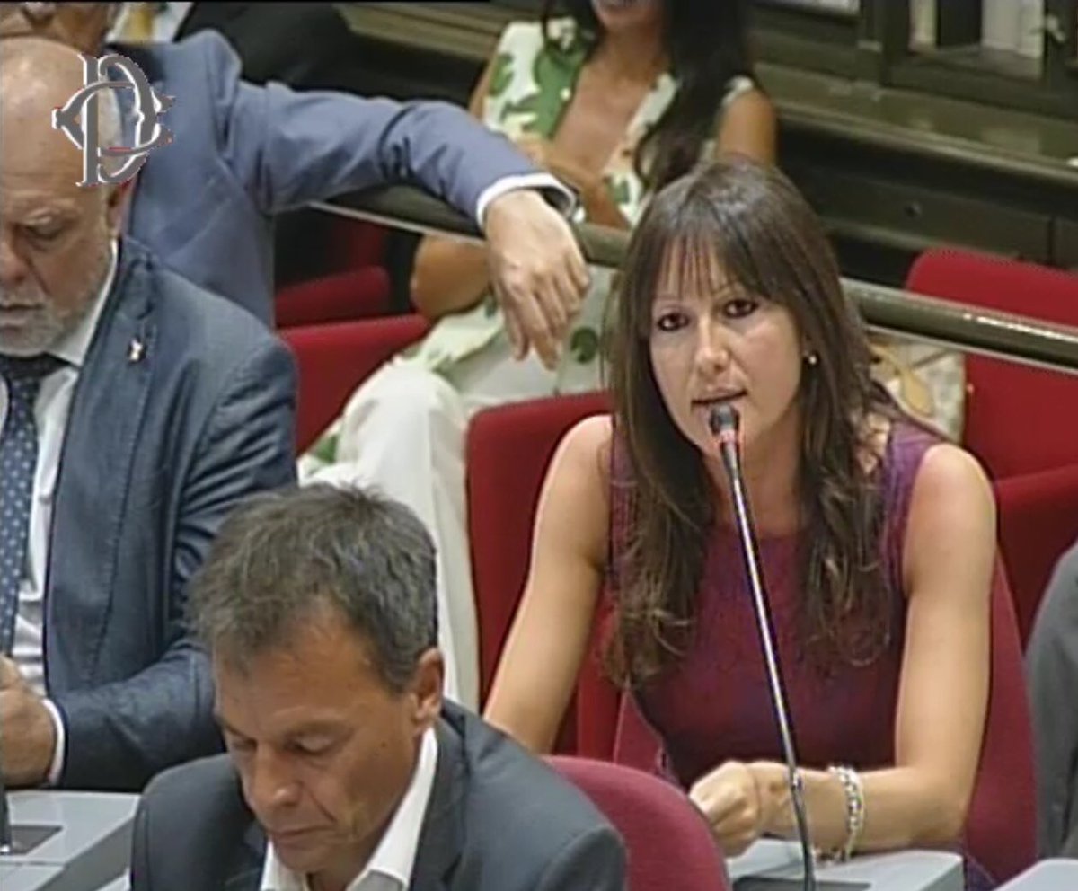 ElenaLucchini's tweet image. ++ 🔴 Crollo ponte: #Lucchini (Lega), da governo segnale forte ++

askanews.it/politica/2018/…
