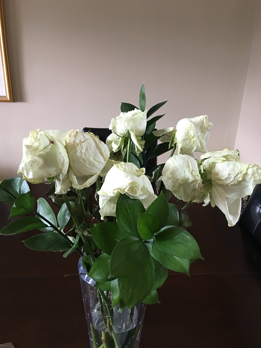 Nicole Gerbens tweet media