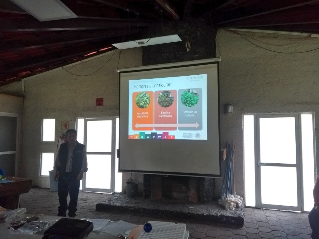 YeseniaMtzPlata's tweet photo. Con las capacitaciones hortícolas las beneficiarias de #ECENM #CDMX tienen la herramienta fundamental (el conocimiento) para producir sus propias hortalizas. Capacitación a beneficiarias de la #CDMX #MéxicoSiembraÉxito @BaltazarxTam @sm_chavarria @SAGARPA_mx @MujeresCampo https://t.co/mQLT9ca7g7
