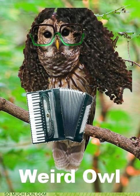 JamberryDesigns's tweet photo. @alyankovic @drdemento @thomaslennon Weird Owl!😊 https://t.co/6M4sU0gZ1Y