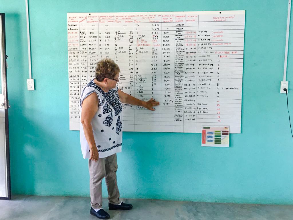 redtilapiamx's tweet photo. Pescadores de San Pedro Ixcatlán, Oax. se convirtieron en acuacultores jauleros que, tras 15 años operando, son un caso exitoso. Asiste al Taller de Extensionismo de la #RedTilapiaMéxico en #FIACUI para conocer más detalles. https://t.co/uF6pVyRStj