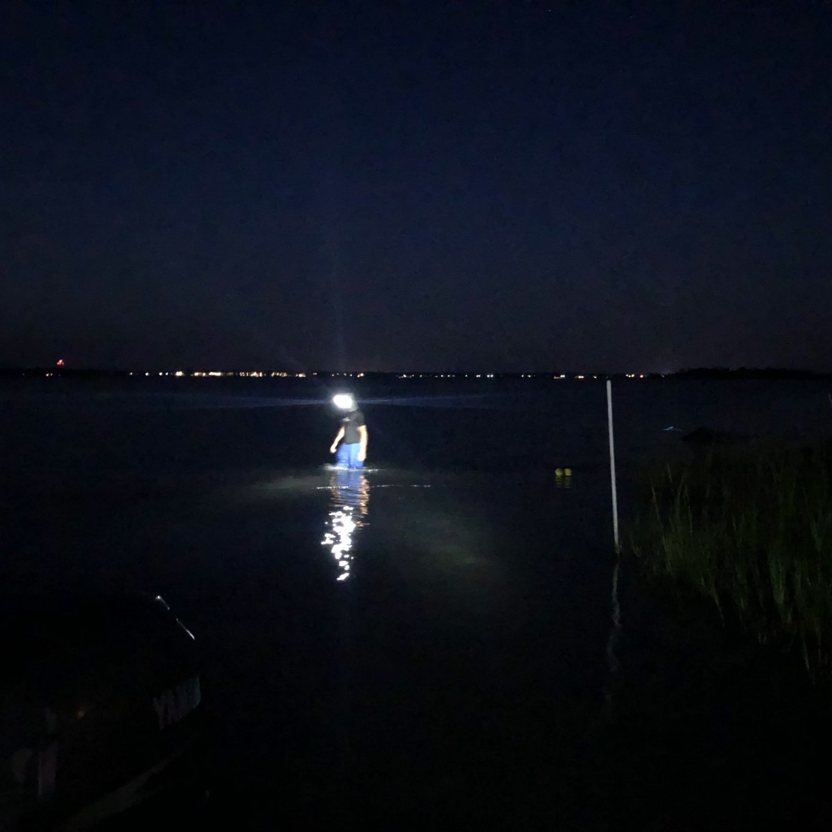 slziegler220's tweet photo. Working at night can be tough but working by the light of the full moon is pretty nice. #anightinthelife #marshlife https://t.co/8q9Mh9Rf7L