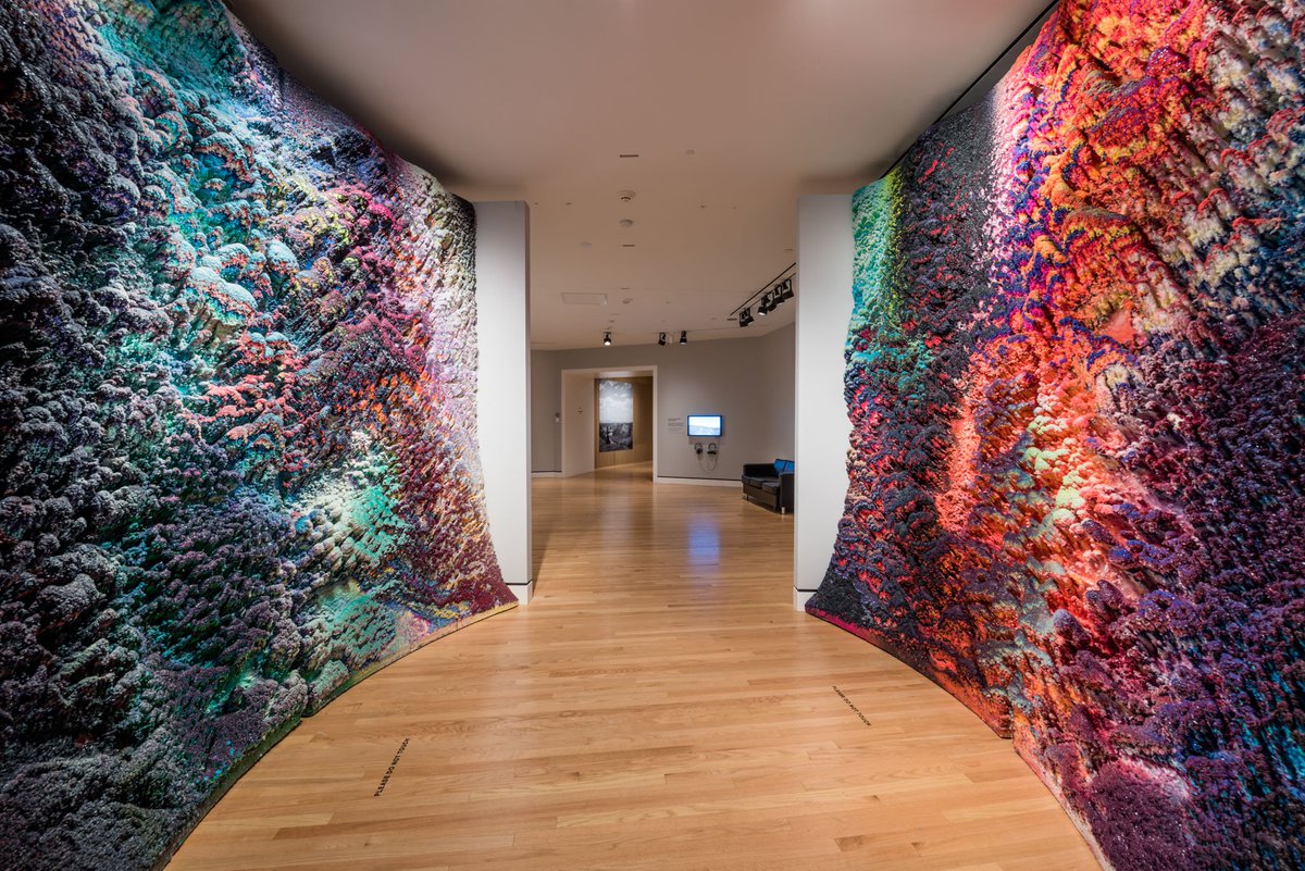crystalbridges's tweet photo. It's the FINAL week of #CBbeyond: Georgia O'Keeffe and Contemporary Art! Don't miss this one-of-a-kind exhibition, on view through Sept 3. Tickets &amp; more info here: https://t.co/QSFgrxmlwE https://t.co/5VyyqaDYKx