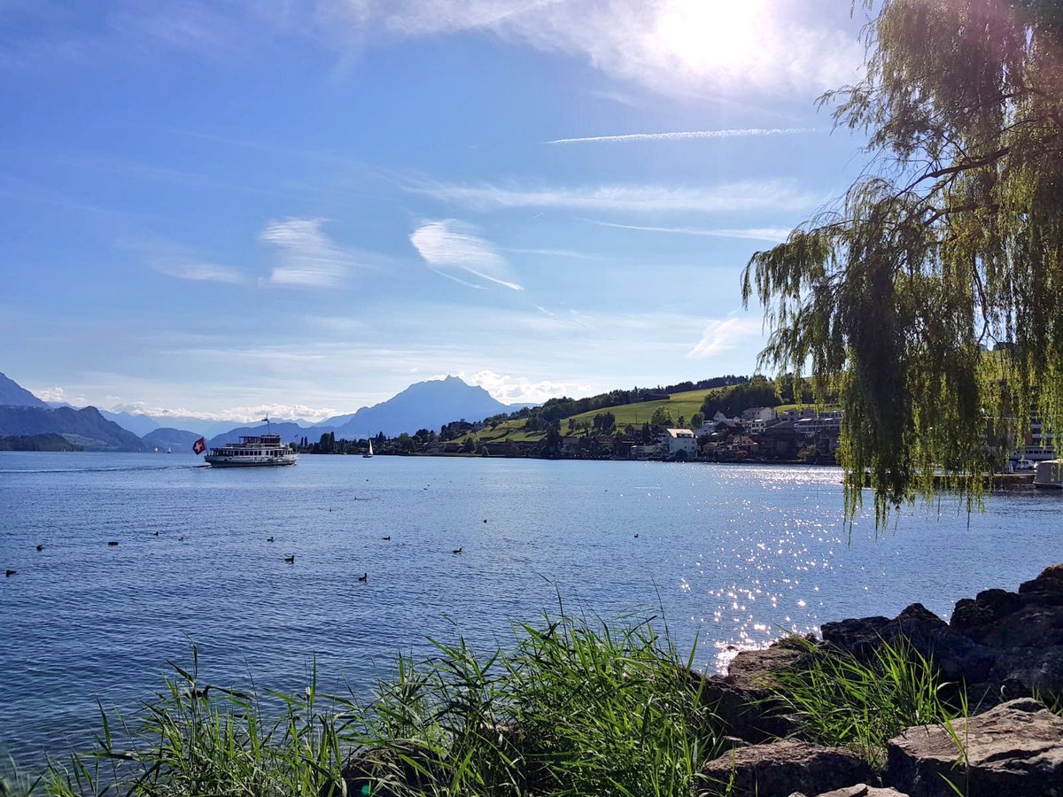 #SwitzerlandWanderlust @MySwitzerland_e #postcardfromSwitzerland #SwissSummer #Lucern #TheRigi 🇨🇭