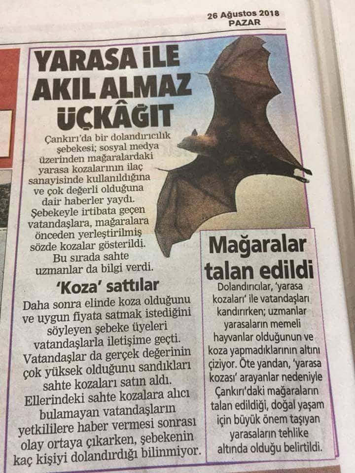 gurkanerginn's tweet photo. - Yarasalar memeli hayvanlardır.
- Hocam bu bilgi hayatta ne işimize yarayacak? https://t.co/xfJ7bgkvVL