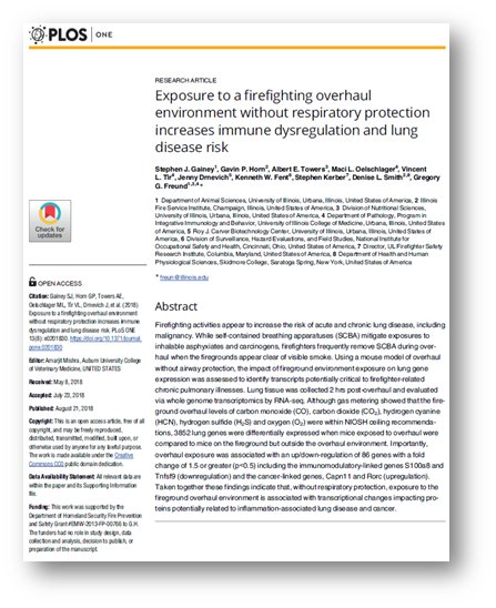 single piles in liquefiable ground seismic response and numerical analysis