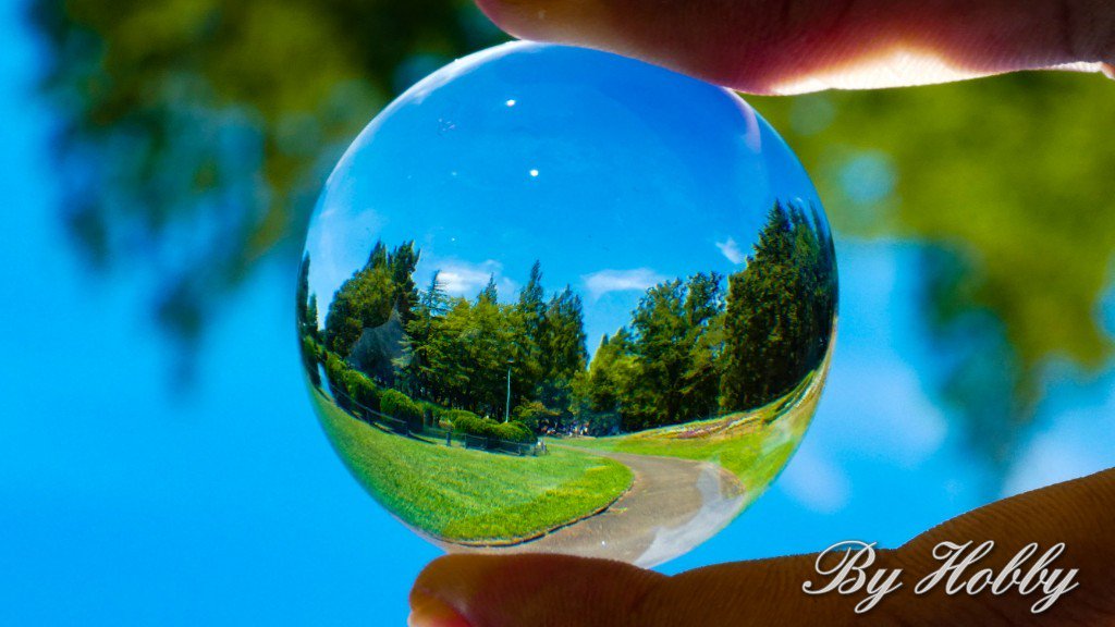 文鎮 Twitter Search