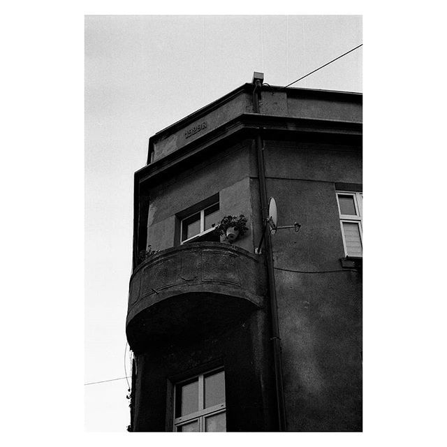 Still hunting for shadows.
 #cityofshadows #miastocienia #bedzin #będzin #będzingórą #hp5 #ilfordphoto #minolta  #srt101 #everybodyfilm #grainisgood #analoguevibes #filmfeed #analogvibes #filmisalive #filmcommunity #ishootfilm #keepfilmalive #filmphotographyproject #filmphot…