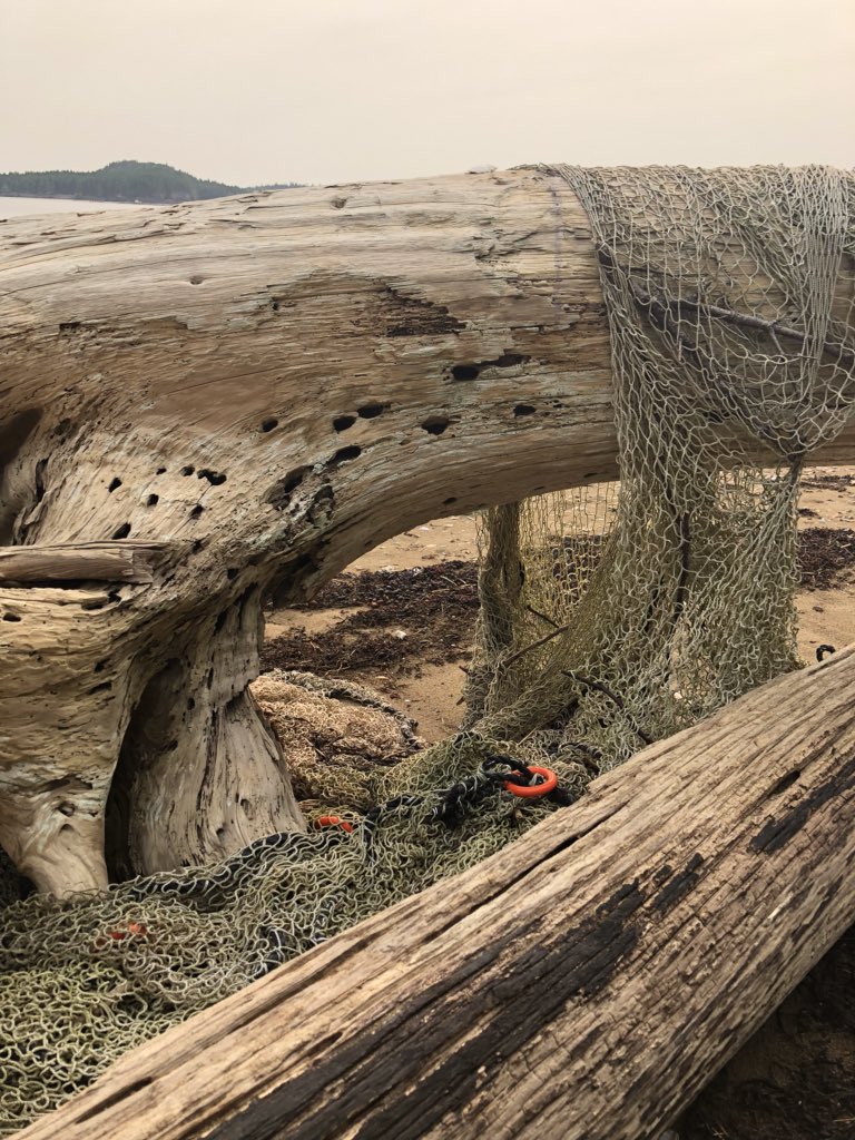 TheTrueCrimePods tweet media