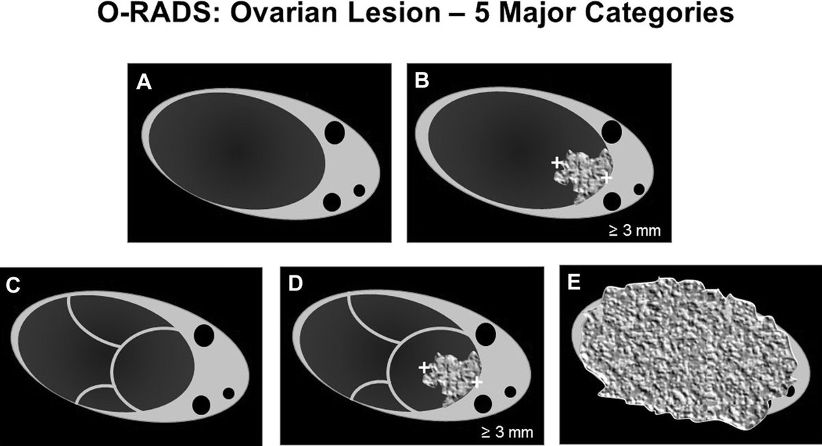 Rochelle Andreotti MD tweet media