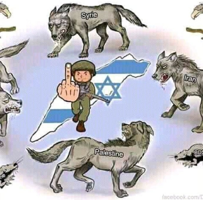 Fuck u all muslim. Mother fucker united muslim nation UN.
