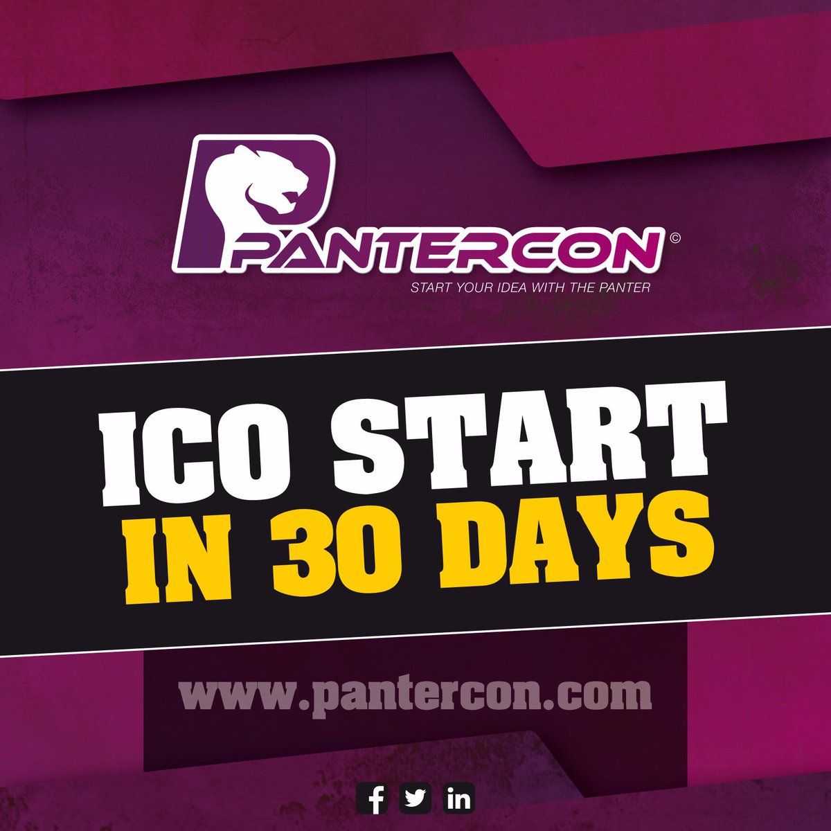pantercon's tweet photo. It's about to start! Sign up quickly for the special bonus!
https://t.co/5bRIuIzXtZ
#pantercon #panterpanx #icostart #ico #icosale #presale #earlyinvest #Coins #Coinmarket #CryptoFever #presale https://t.co/ZDg99520Rs
