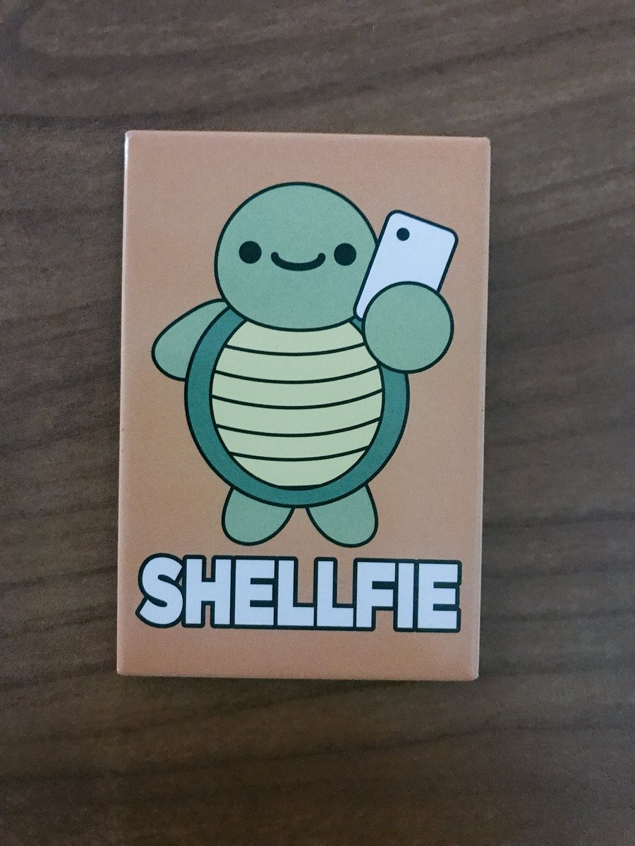 FL_Lorax's tweet photo. Hmmmm 🤔 is one of my students trying to tell me I take too many “shellfies”)? Nonetheless... My students get me! 🐢📷 Thank you for the gift! #shellfie #newmagnet #happyMonday https://t.co/kHvYGKsYQC