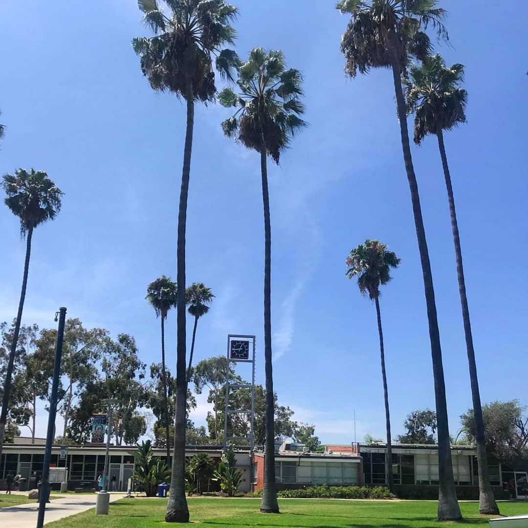 SGOCC's tweet photo. Welcome back Pirates! Stop by the ASOCC office today to learn more about how you can get involved this semester! Need help finding us? Stop by one of the Welcome Tables located all around campus for help with locating your classes and other services on campus. 😊
#asocc #GoCoast https://t.co/CQHjuIea8G