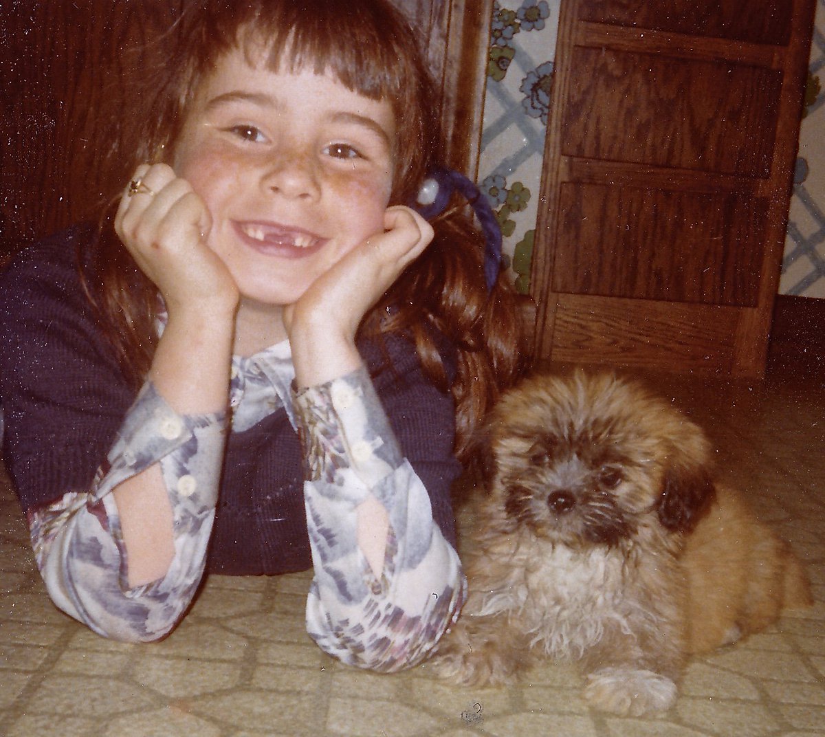 Dr. Stacey Zackin tweet media