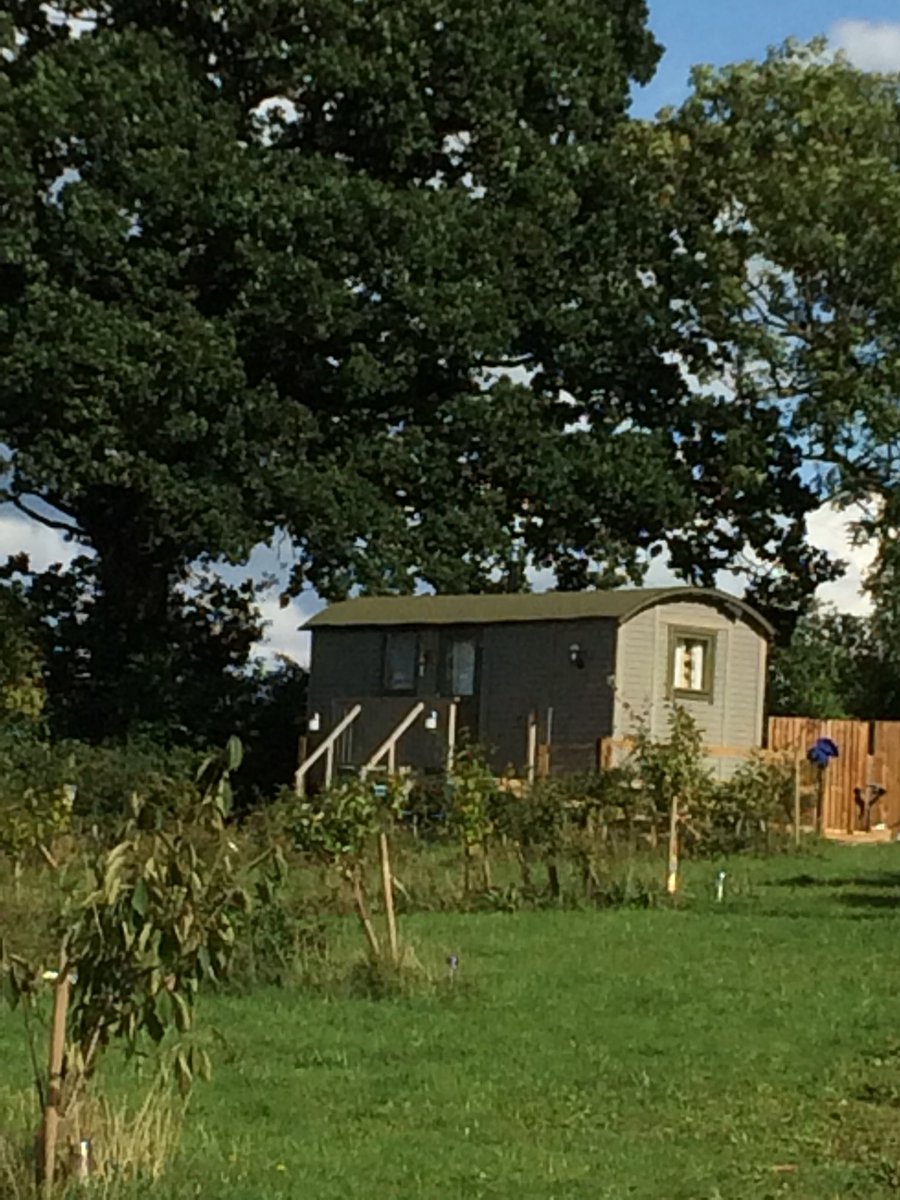LeafyFields's tweet photo. Sneaky peak of what we have been working so hard on all year Shepherd hut available to book soon #shepherdhut #glamping #autism #autismfriendly #holiday #devon #toddlerfriendly #babymoon #honeymoon #devonwinter #winterholiday #holibobs https://t.co/6TXnG11SIk