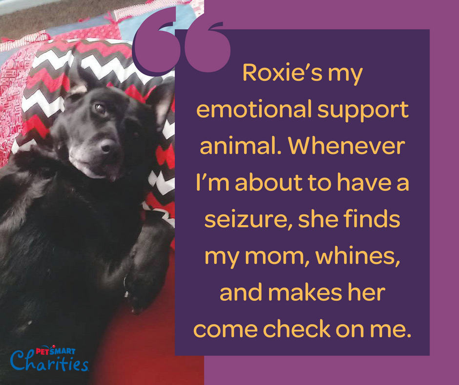 fpnational's tweet photo. Because of @PetSmartChariTs, 16-year-old Tasha was able to keep her dog Roxie, even after her family lost their home.
Read the full story ➡️ https://t.co/xLhhOkACpE https://t.co/8HuXe63QZB