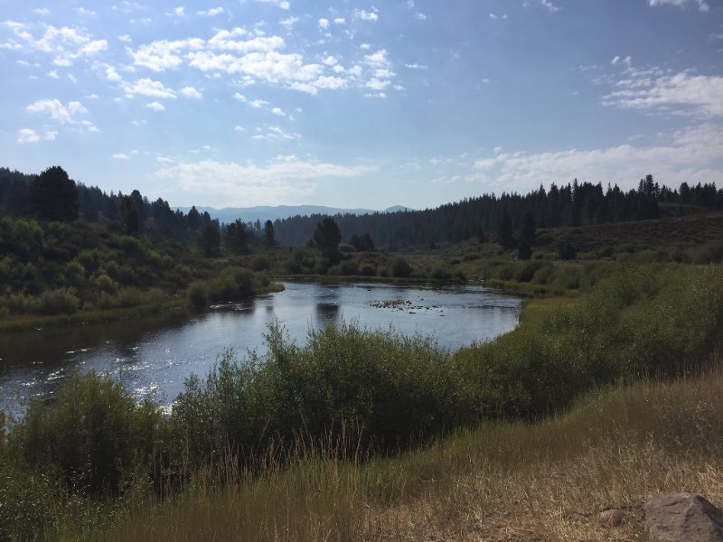 SNVConservation's tweet photo. Saving the best (worst) for last! - https://t.co/OnNC8dDRHF https://t.co/k9zYiK3fk4