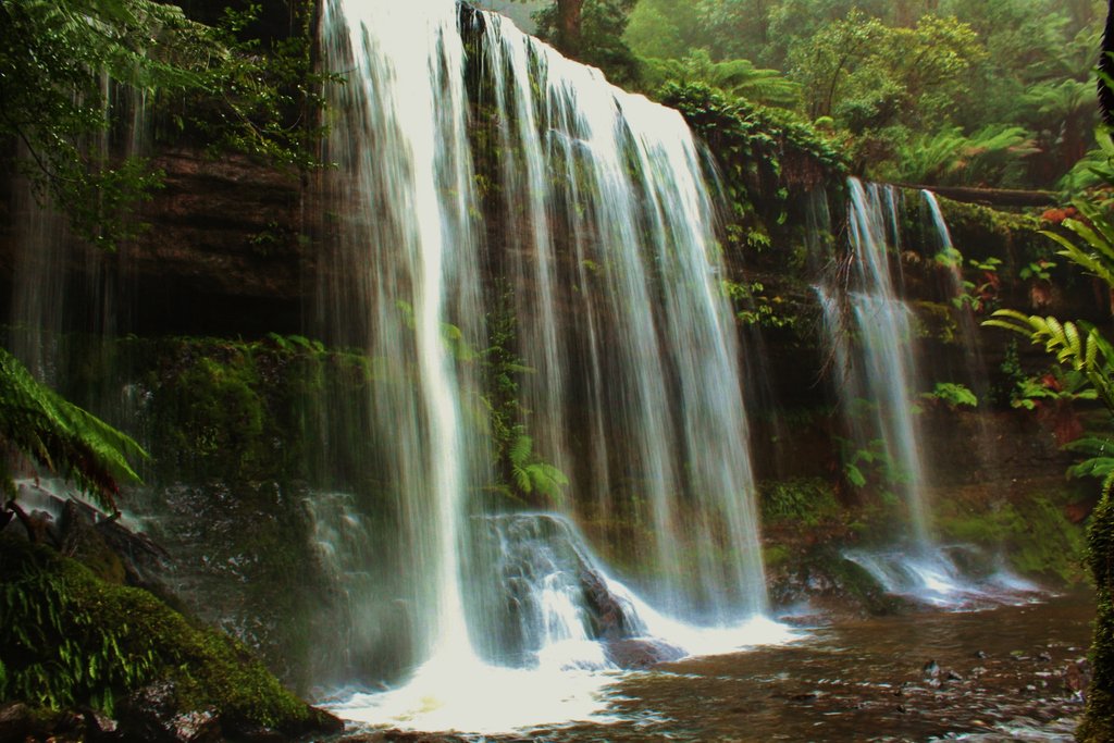 penwriter's tweet photo. The simple beauty of falling water
#tasmania #natureisbeautiful #amazingviews #naturephotography #nature_sultans #globalcapture #discovertasmania #natureisbeautiful #landscape_shooterz #exceptional_pictures #earth_shotz #russellfalls #mtfield #waterfallphotography https://t.co/2uQqlt2X3s