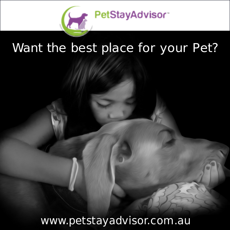 Looking for the #best #petboarding options near you?  buff.ly/2Ftvisx #tiptuesday