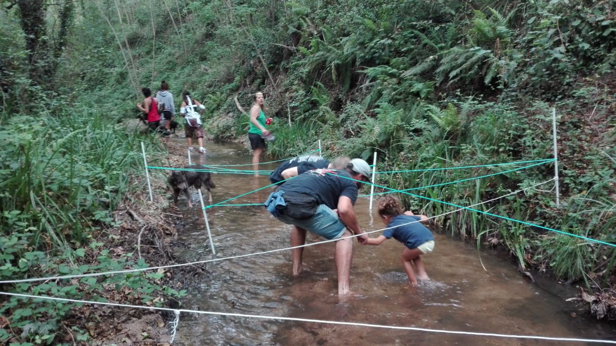ACastanyet's tweet photo. Us deixem amb un altre tast del dissabte de festa major i comencem a fer recull de tot el material gràfic i audiovisual de la festa per guardar-ho a l'arxiu de Castanyet. Tot el que tingueu envieu-ho a: ajuntamentdecastanyet@gmail.com o al 686937917. https://t.co/pTwK4UgQQx