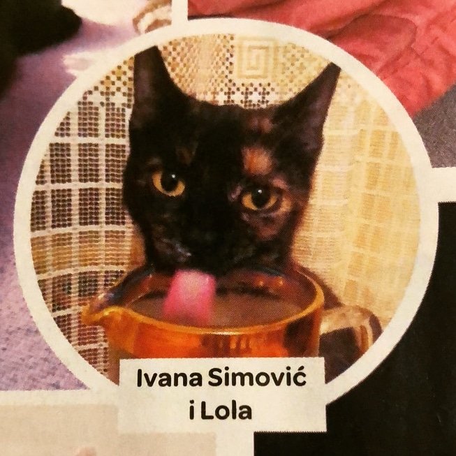 ivanasimovic16's tweet image. 💜My famous daughter😻 #mackamagazin