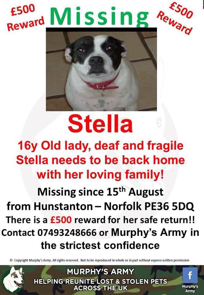 The_Animal_Team's tweet photo. 🆘MEGA URGENT🆘 Please RT for this 16yo girl. She needs to be home with her family. #Hunstanton #Norfolk #PE36 15/8/18 https://t.co/gEp4I0nl1d https://t.co/DXjueHX5uo