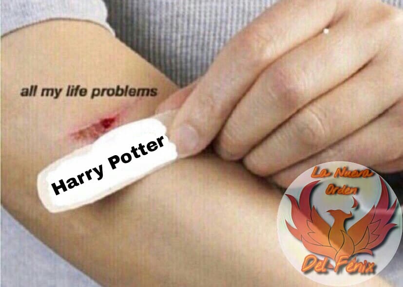 SIGAN LA OTRA CUENTA @_Orden_fenix_ (@orden_fenix_) on Twitter photo 