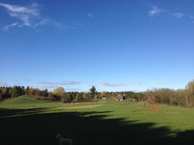 'Augenblick' - mailchi.mp/bbd30db55b87/a…