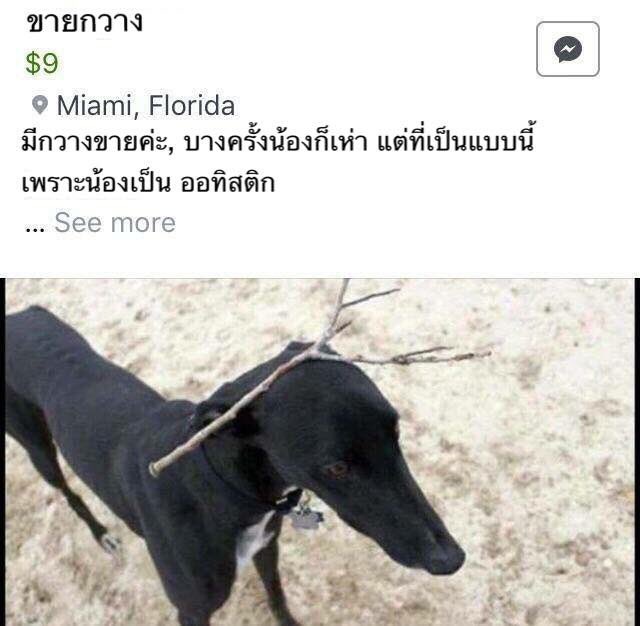 - tweet media