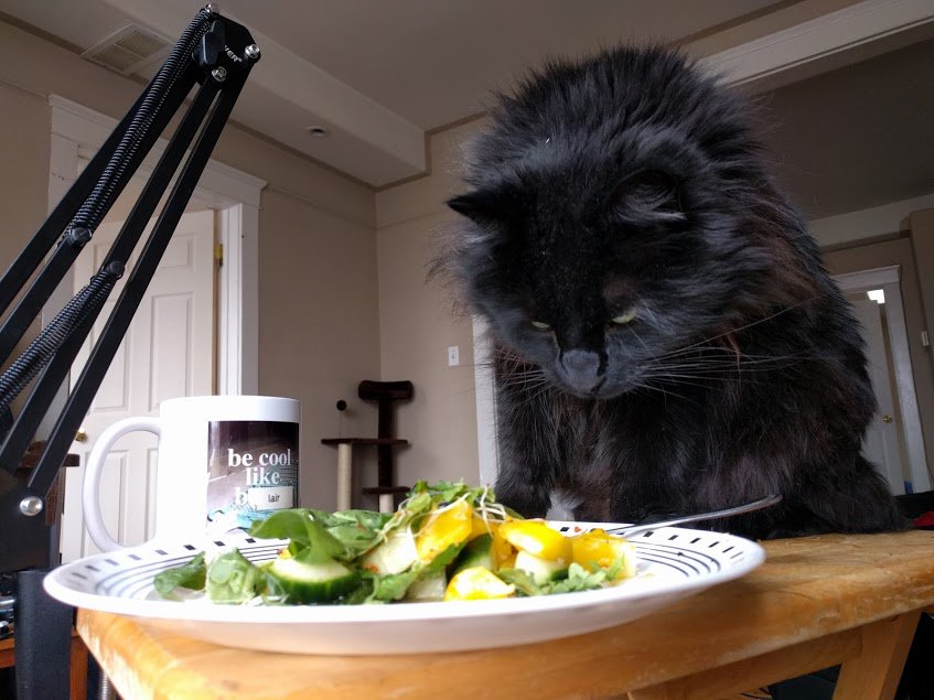 musicalmole's tweet photo. hi, friends! it's been a minute! in this episode, we overcome two fundamental misunderstandings between roommates: https://t.co/q9uxoZj577 https://t.co/oIZb9fhY7m